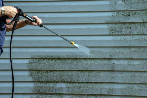 Best Gutter Cleaning  in Taylor, TX